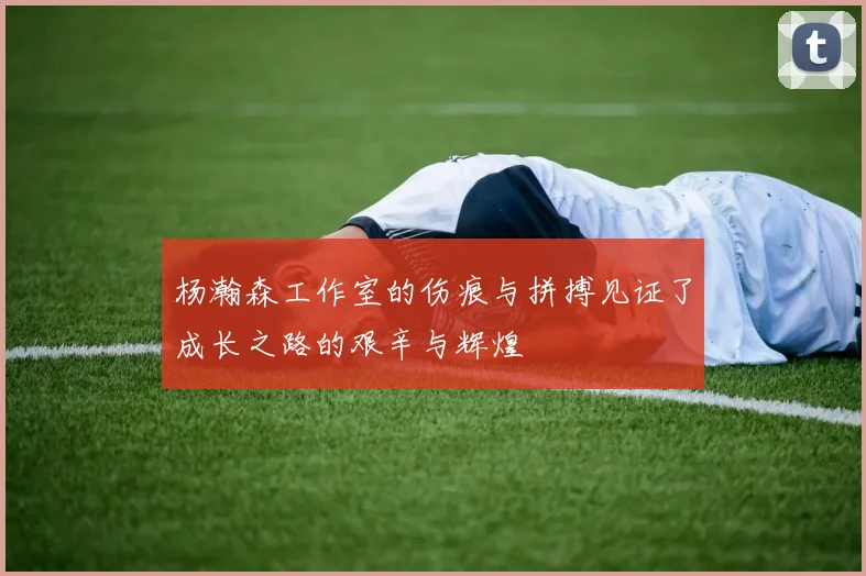 杨瀚森工作室的伤痕与拼搏见证了成长之路的艰辛与辉煌
