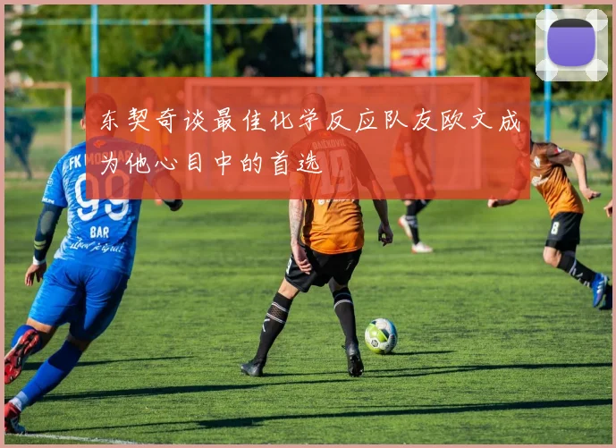 东契奇谈最佳化学反应队友欧文成为他心目中的首选