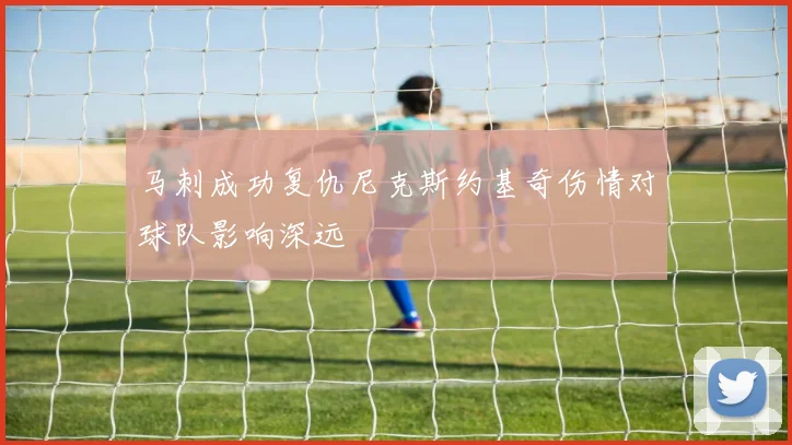 马刺成功复仇尼克斯约基奇伤情对球队影响深远