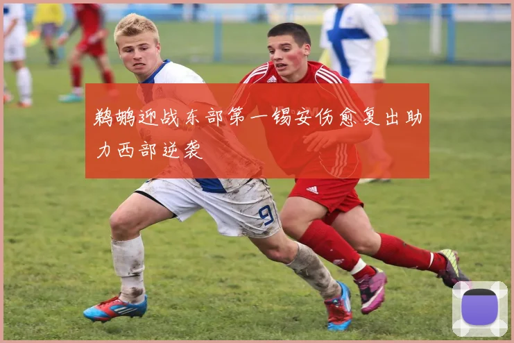 鹈鹕迎战东部第一锡安伤愈复出助力西部逆袭
