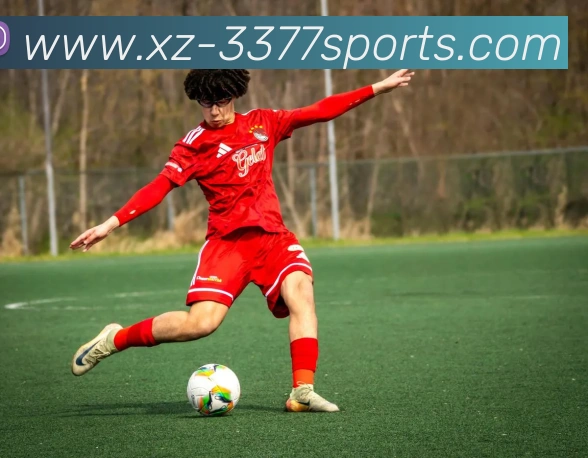 3377体育APP 高清赛事图